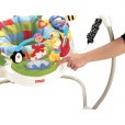 Jumperoo Discover and Grow